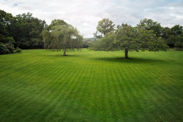 Selectable Mowing Pattern